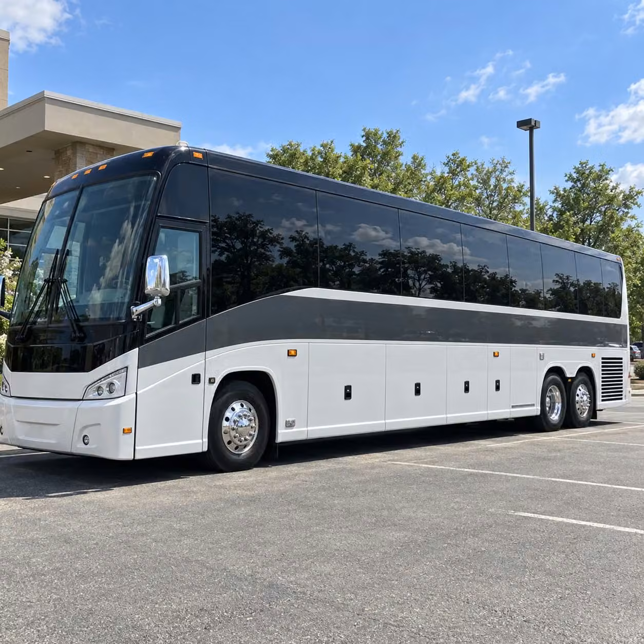 56 passenger charter bus
