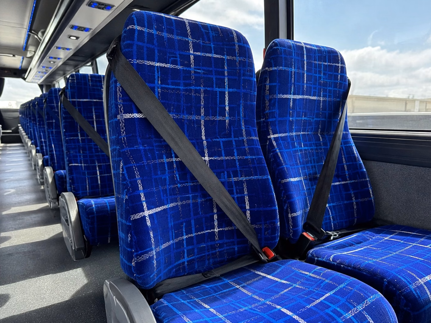 compare buses in minutes not days